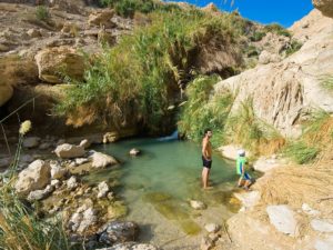 ein-gedi
