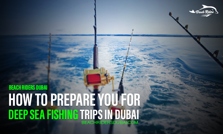Deep Sea Fishing Trips in Dubai