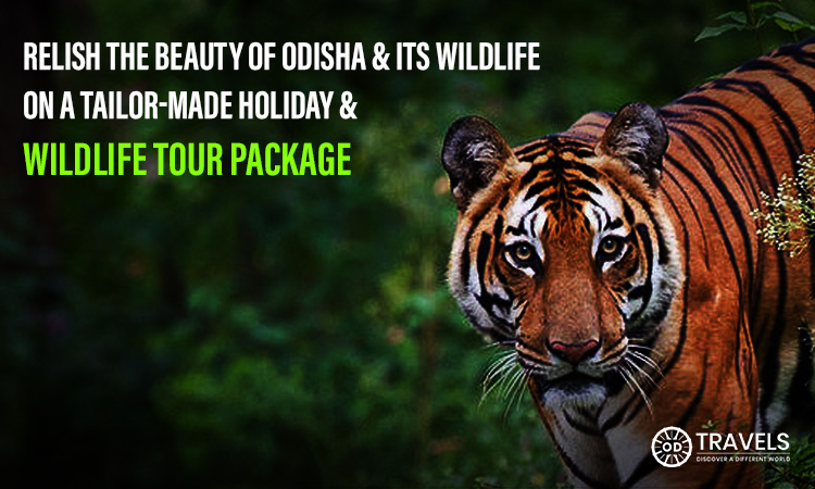 Orissa wildlife tour packages