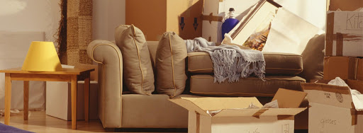 Ten reasons to hire a professional moving company in Alexandria VA