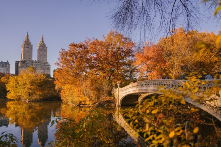 Different attractions to explore in and around Central Park New York City