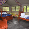 Tented Camp
