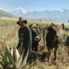 sacred valley tour