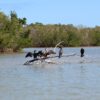 Book A Private Tour of Punta Laguna With Best Maya Tours