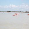 Why You Should Hire Best Maya Tours For Your Yucatan Vacation?