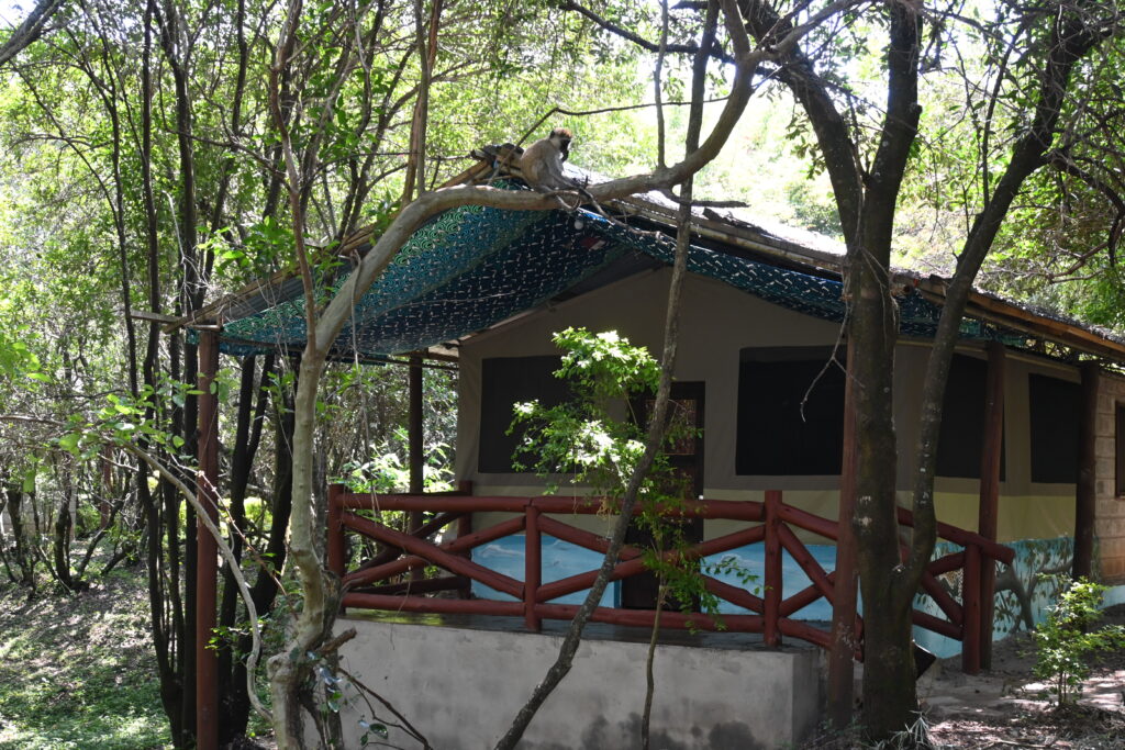 Why stay at tented camps during a safari trip