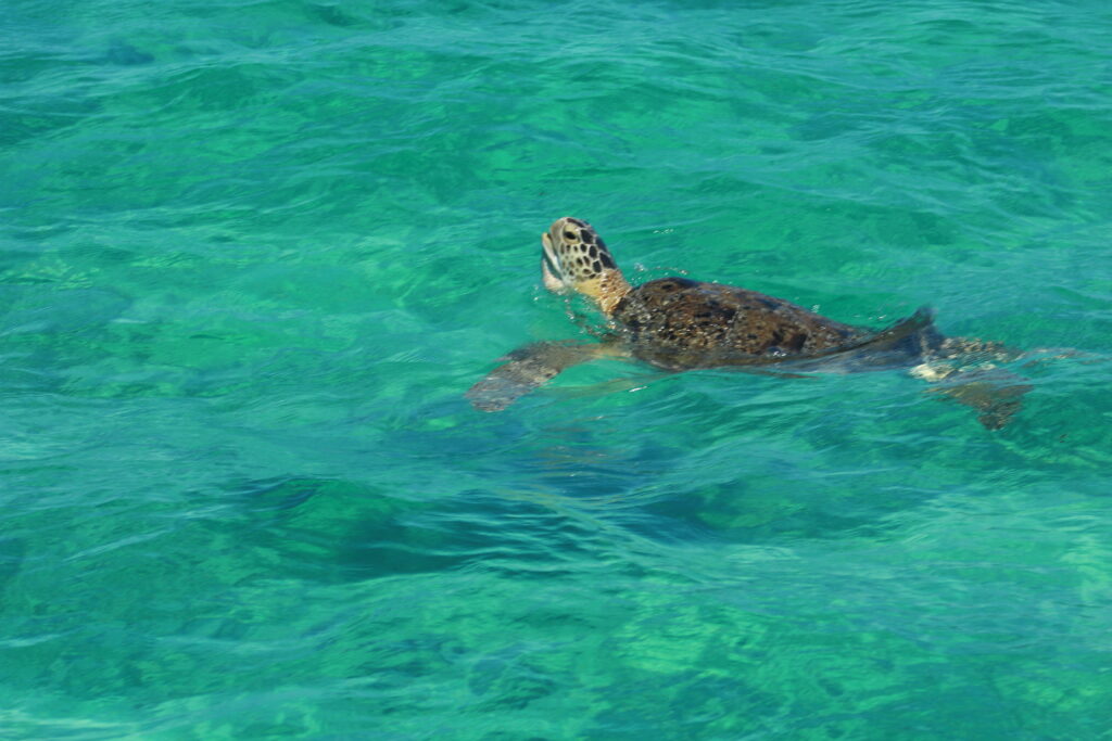 Private Siankaan Biosphere Tour