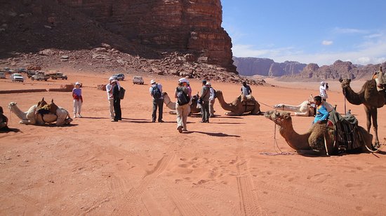 There Are Many Things To Do At Wadi Rum With Rum Magic Nights