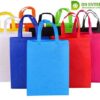 Non Woven Carry Bags