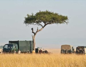 African Safari