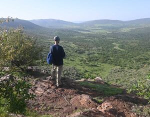 safari tours