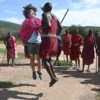 African Safari