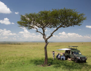 African safari tours