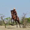 horse riding safari
