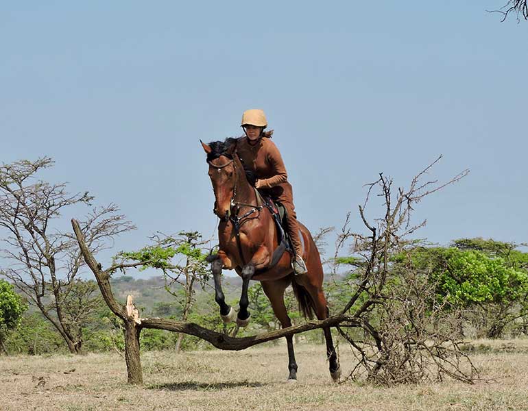 horse riding safari