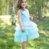 Buy Princess Dress