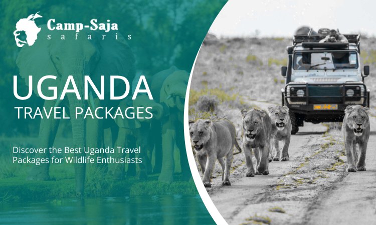 Uganda travel packages