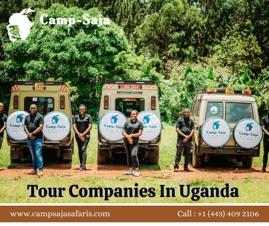Discover Uganda's Beauty