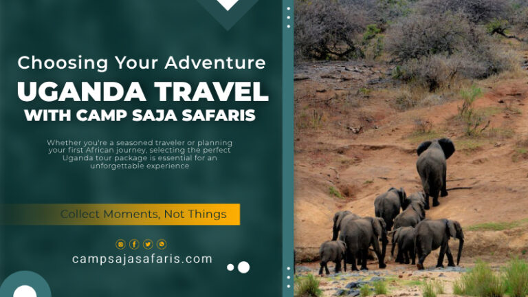 Uganda Travel Packages with Camp Saja Safaris