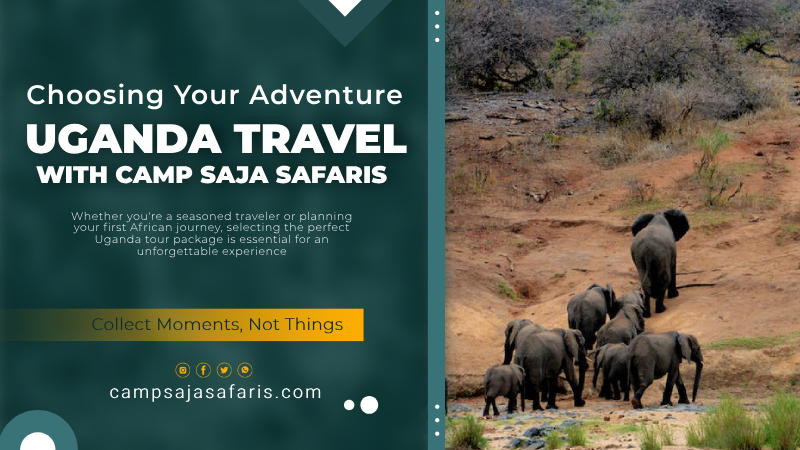 Uganda Travel Packages with Camp Saja Safaris