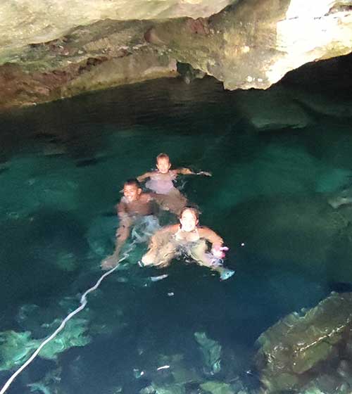 Nature's Beauty in Aquatic Serenity