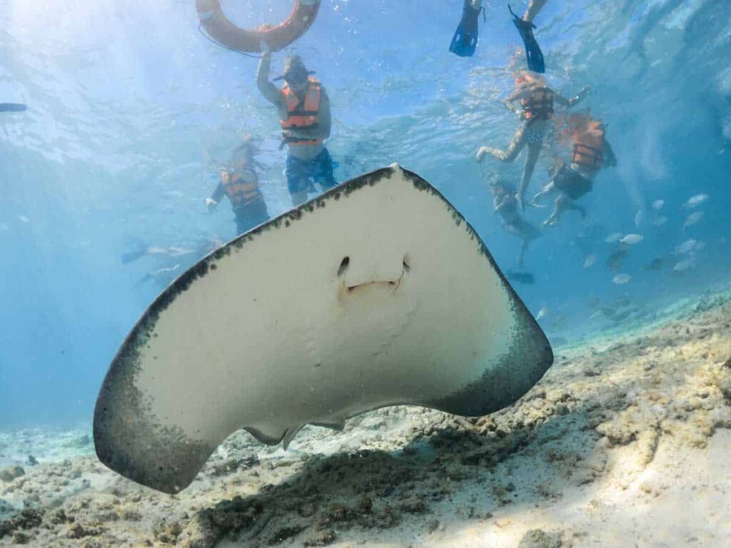 private boat trip