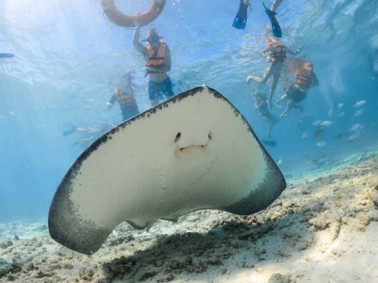 private boat trip