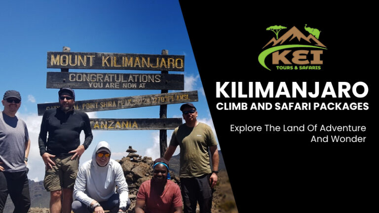 Summit to Safari: Unveiling the Best Kilimanjaro Climb and Safari Packages