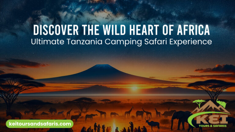 Tanzania camping safari