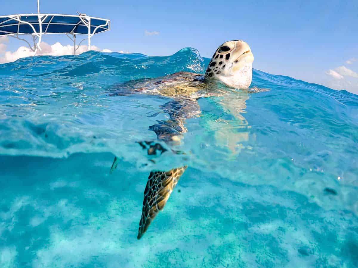 Capturing the beauty of Tulum from a private boat tour