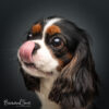 Professional pet portrait session.