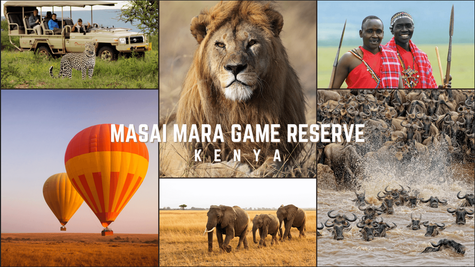 Masai Mara Tour Package from India