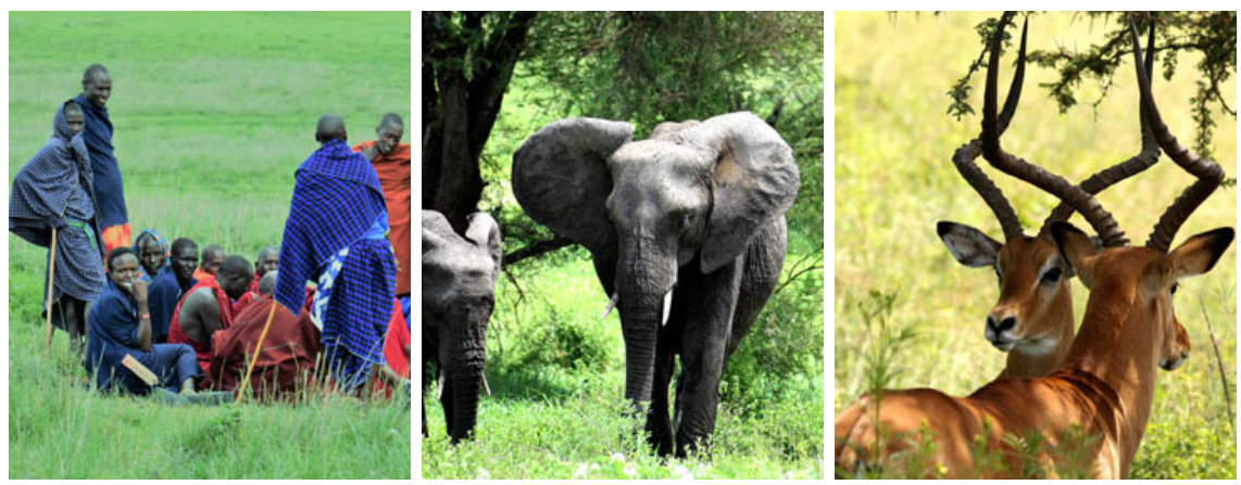 Tanzania Tour Packages