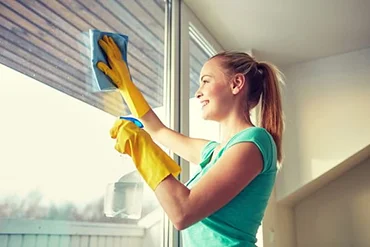 Window Cleaning