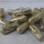 The best mushroom capsules