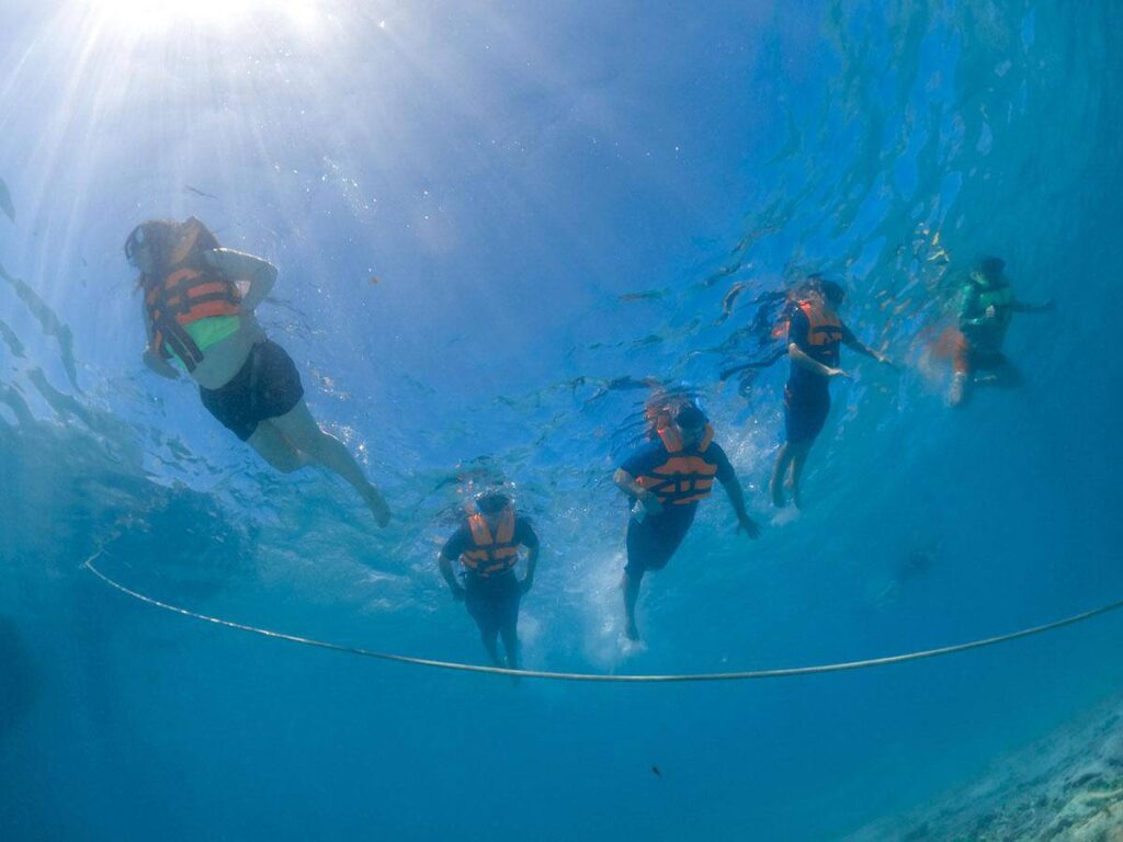 Group of snorkelers exploring vibrant coral reefs during a snorkeling tour.