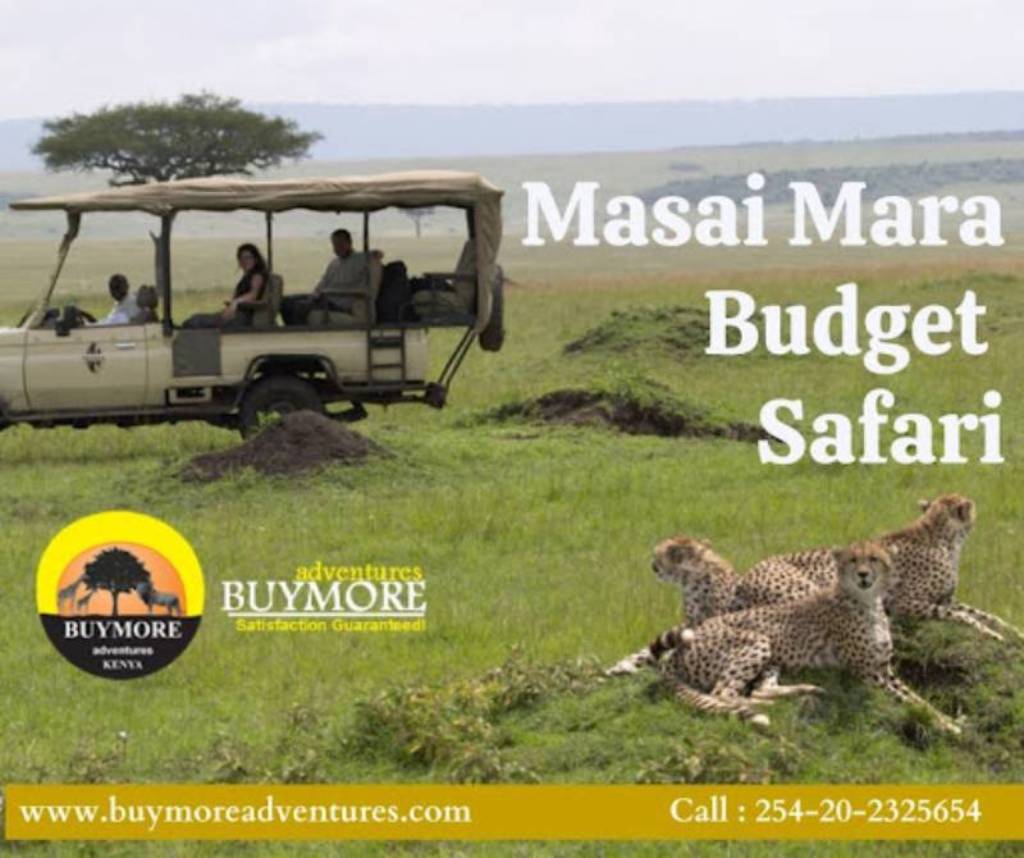 How to Enjoy a Masai Mara Safari on a Budget