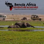 Kenya Safaris