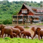 Luxury Lodge Safari in Kenya