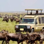 Masai Mara Migration Safari