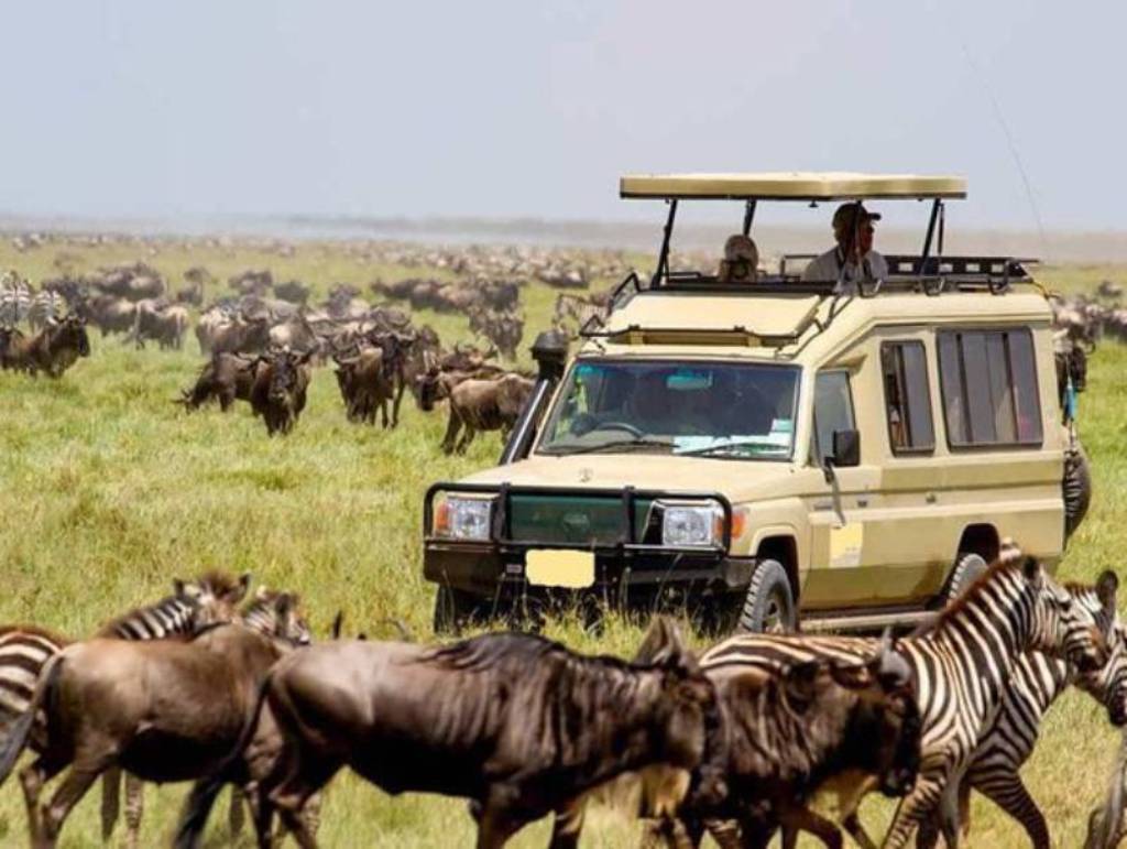 Masai Mara Migration Safari