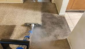 Carpet Cleaner near me