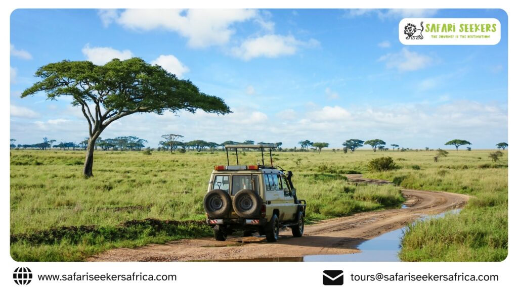 Kenya Holiday Safaris