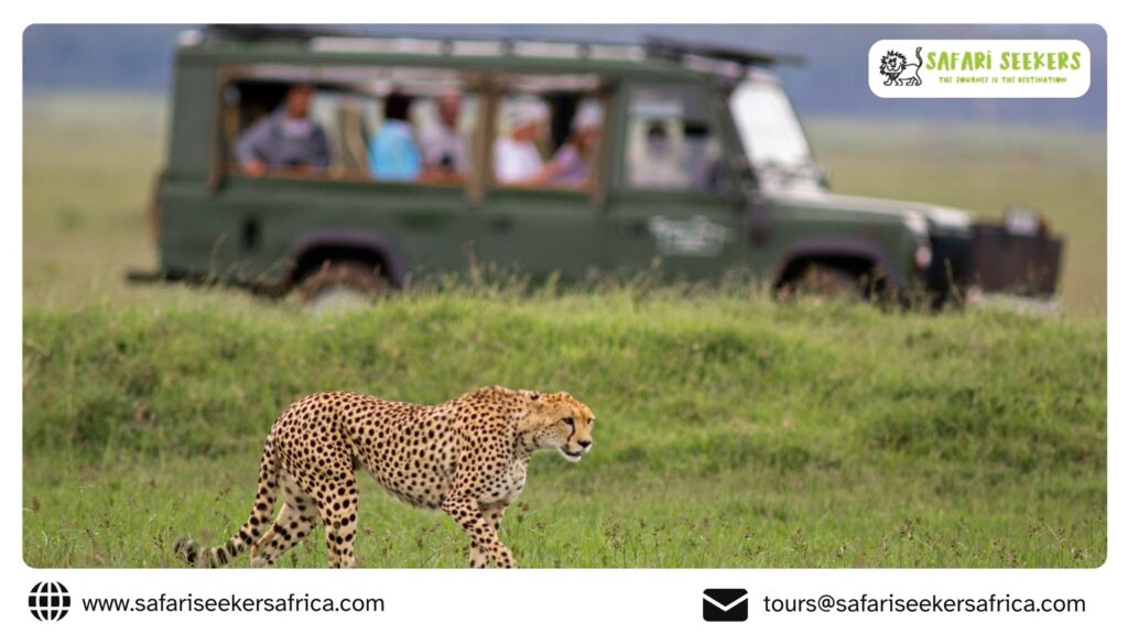 Kenya Holiday Safaris
