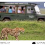 Kenya Holiday Safaris