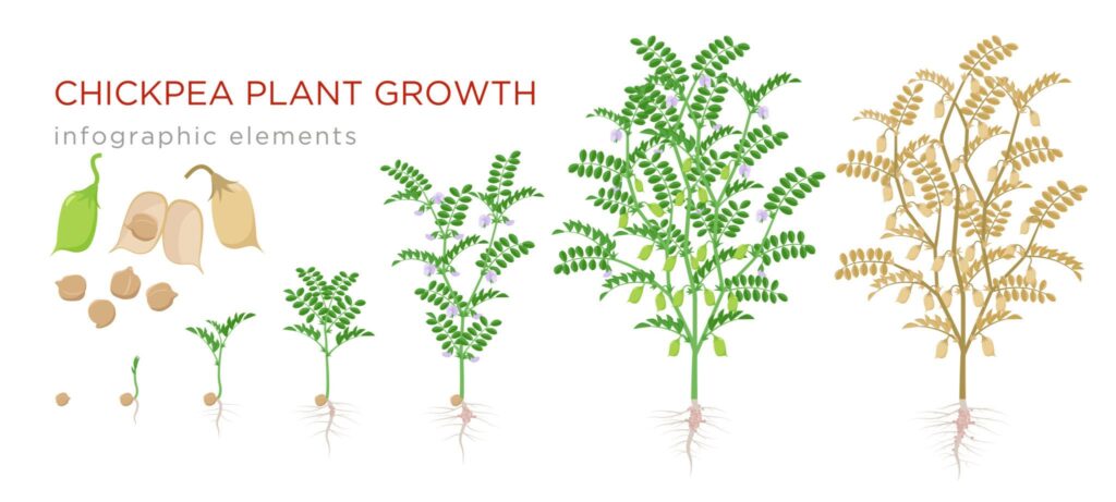 best export company India