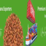 Desi chana exports