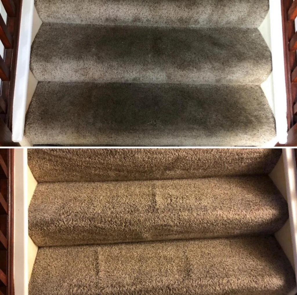 best carpet cleaner near me