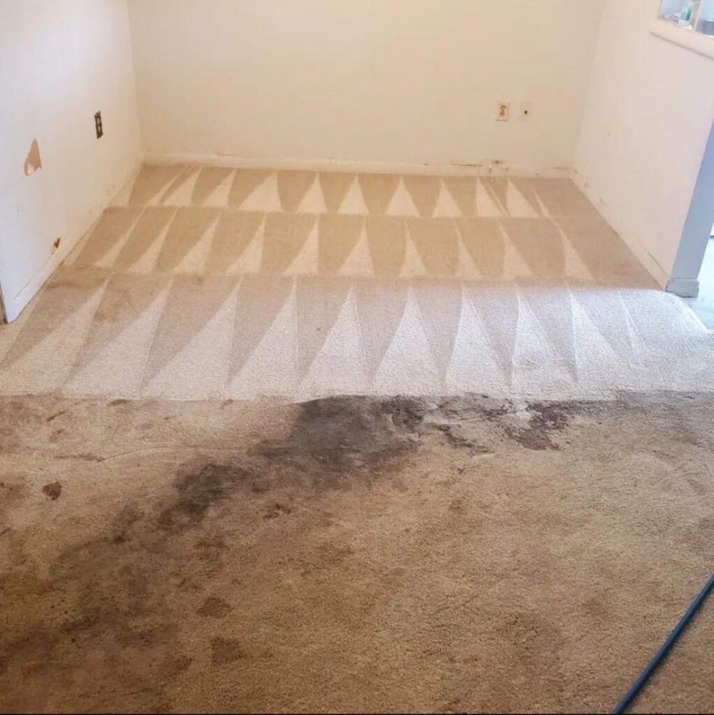 best carpet cleaner near me