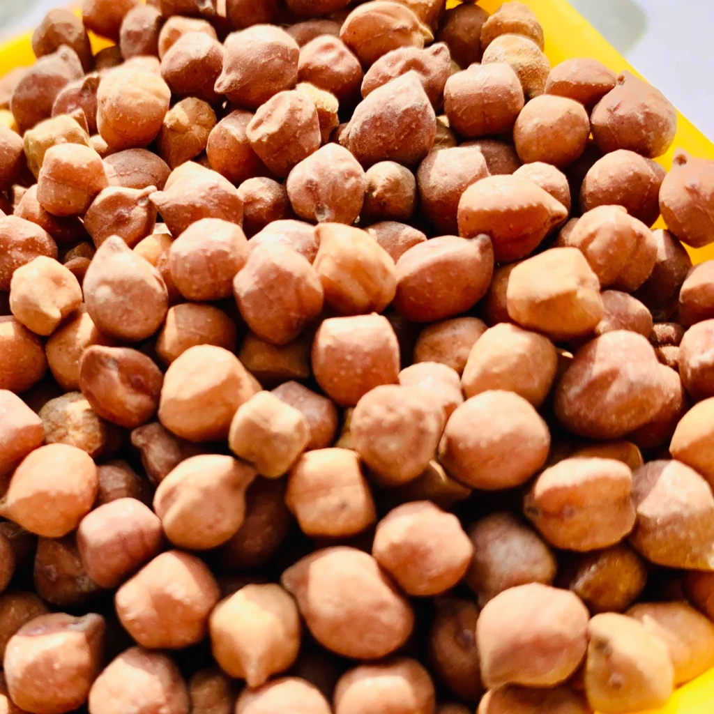 best exporter from India